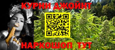 сатива Долгопрудный