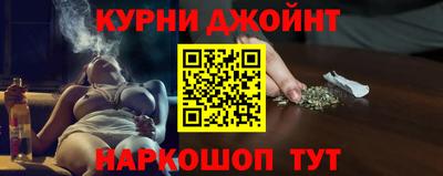 сатива Долгопрудный