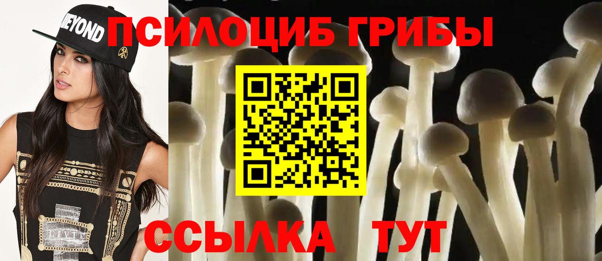 Галлюциногенные грибы мухоморы Барнаул